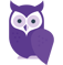 Owl transparent background
